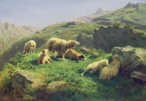 Sheep Grazing in the Pyrenees